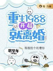 重生1988:开局就离婚